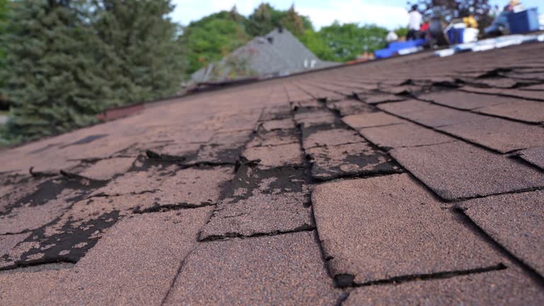 Best Metal Roofing Installation  in St Joseph, MN