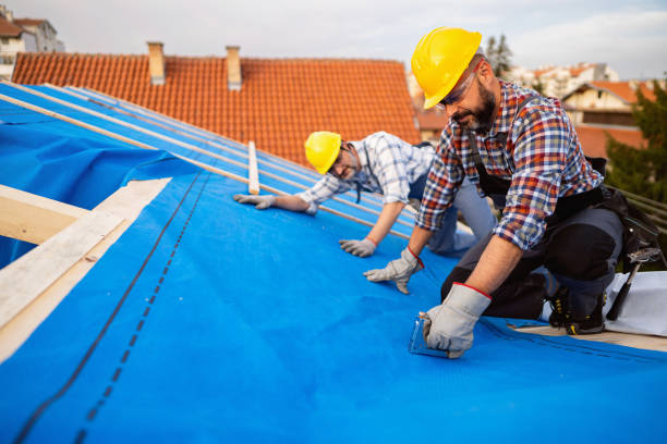 Best Roof Insulation Installation  in St Joseph, MN