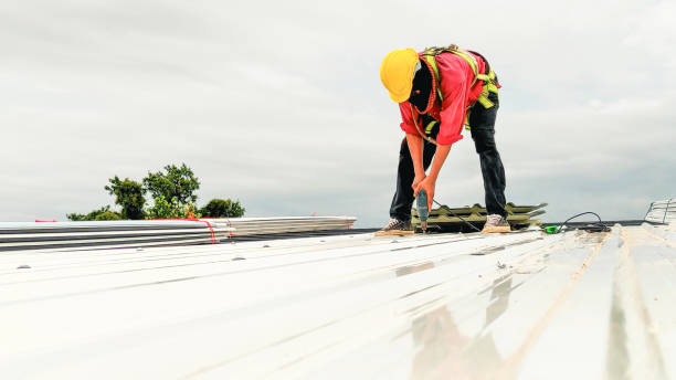 Best Roof Moss and Algae Removal  in St Joseph, MN