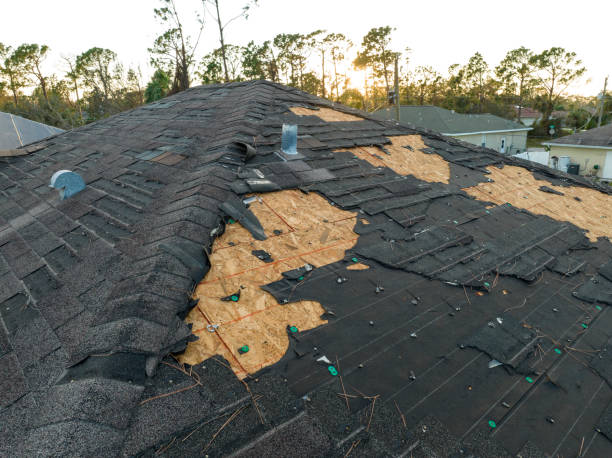 Best Solar Panel Roofing Installation  in St Joseph, MN